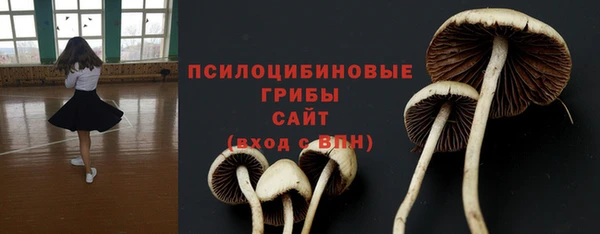 ПСИЛОЦИБИНОВЫЕ ГРИБЫ Арсеньев