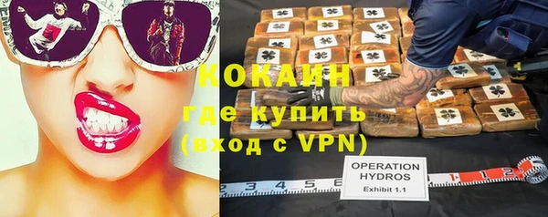 ПСИЛОЦИБИНОВЫЕ ГРИБЫ Арсеньев
