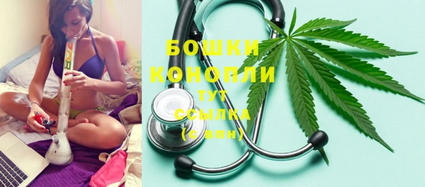 ПСИЛОЦИБИНОВЫЕ ГРИБЫ Арсеньев